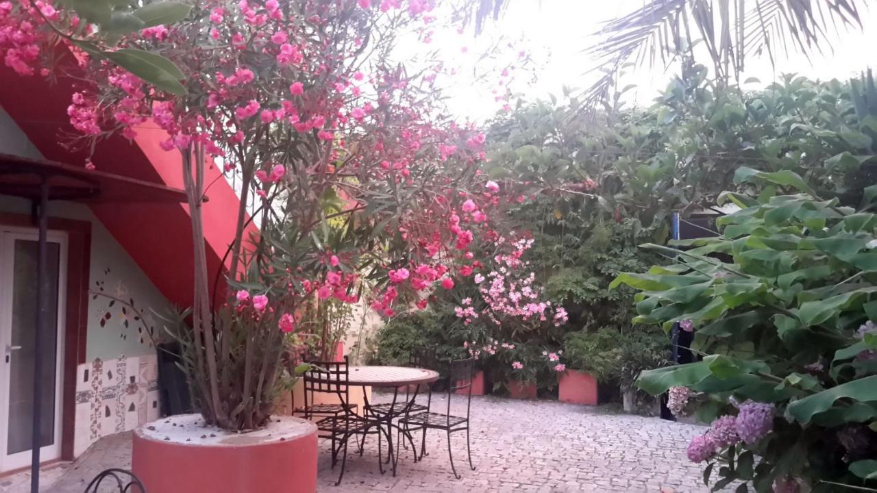Casa 3 Aguias Bed & Breakfast Aveiro Exterior photo